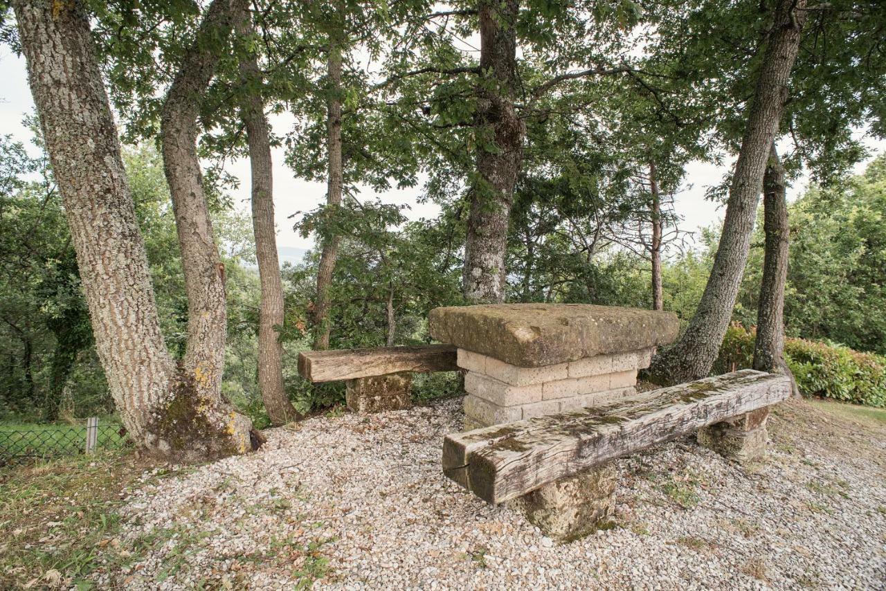 Casa Rancacci ξενώνας Mercatale  Εξωτερικό φωτογραφία