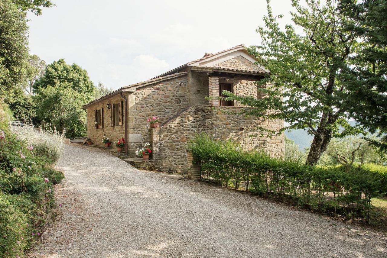 Casa Rancacci ξενώνας Mercatale  Εξωτερικό φωτογραφία