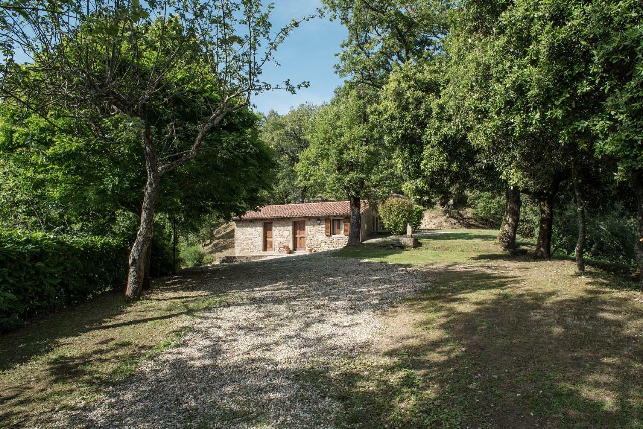 Casa Rancacci ξενώνας Mercatale  Εξωτερικό φωτογραφία